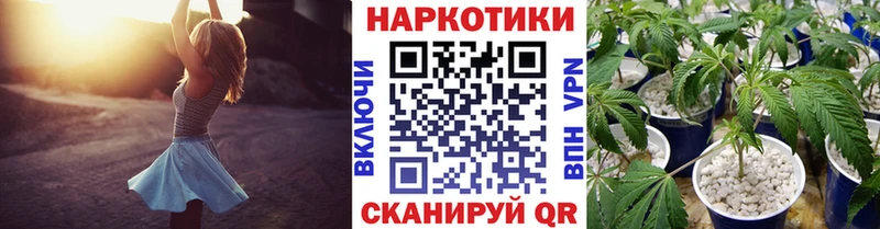 Купить закладку ГАШ  СК  Меф мяу мяу  Бошки Шишки  Cocaine  Валдай