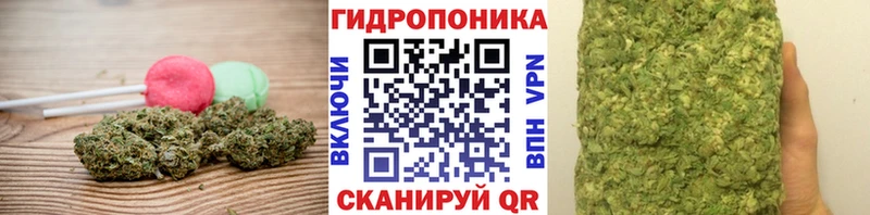 Купить где  Валдай  Canna-Cookies марихуана 