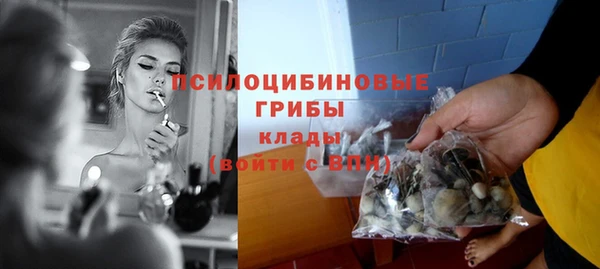 ПСИЛОЦИБИНОВЫЕ ГРИБЫ Белокуриха