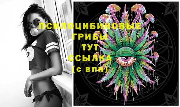 гидропоника Беломорск