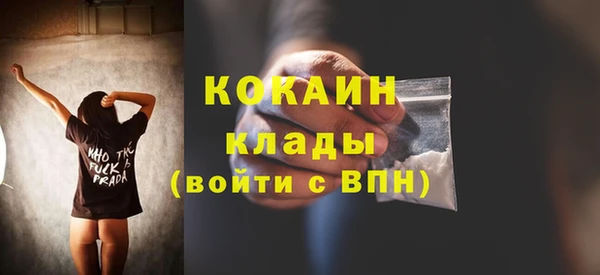 ПСИЛОЦИБИНОВЫЕ ГРИБЫ Белокуриха